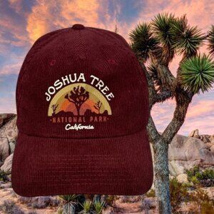 Vintage American Needle Joshua Tree National Park Corduroy Snapback Hat Cap OSFA